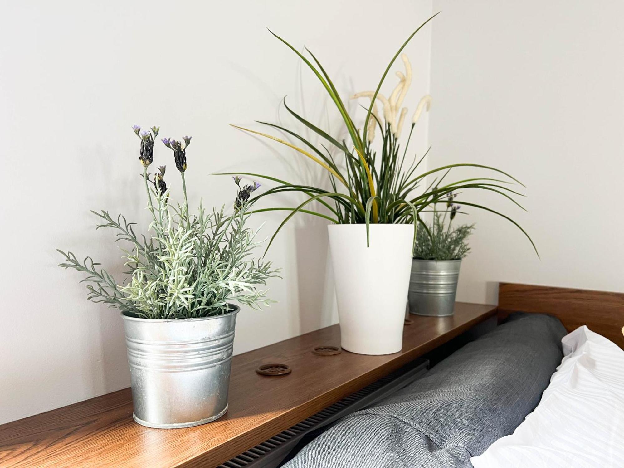 3D Szlak 77 Apartament Krakow Bagian luar foto